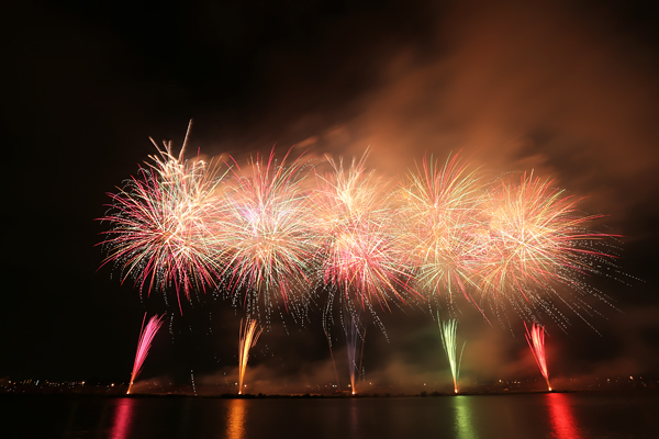 市川市民納涼花火大会の画像