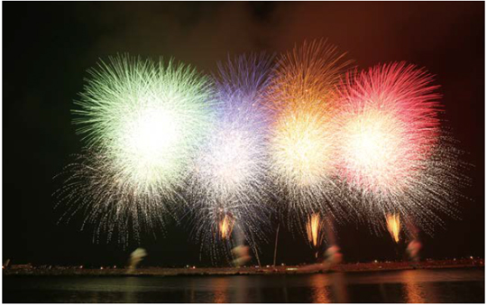 夏の夜空に大輪の花火を 市川市民納涼花火大会 協賛企業大募集の画像