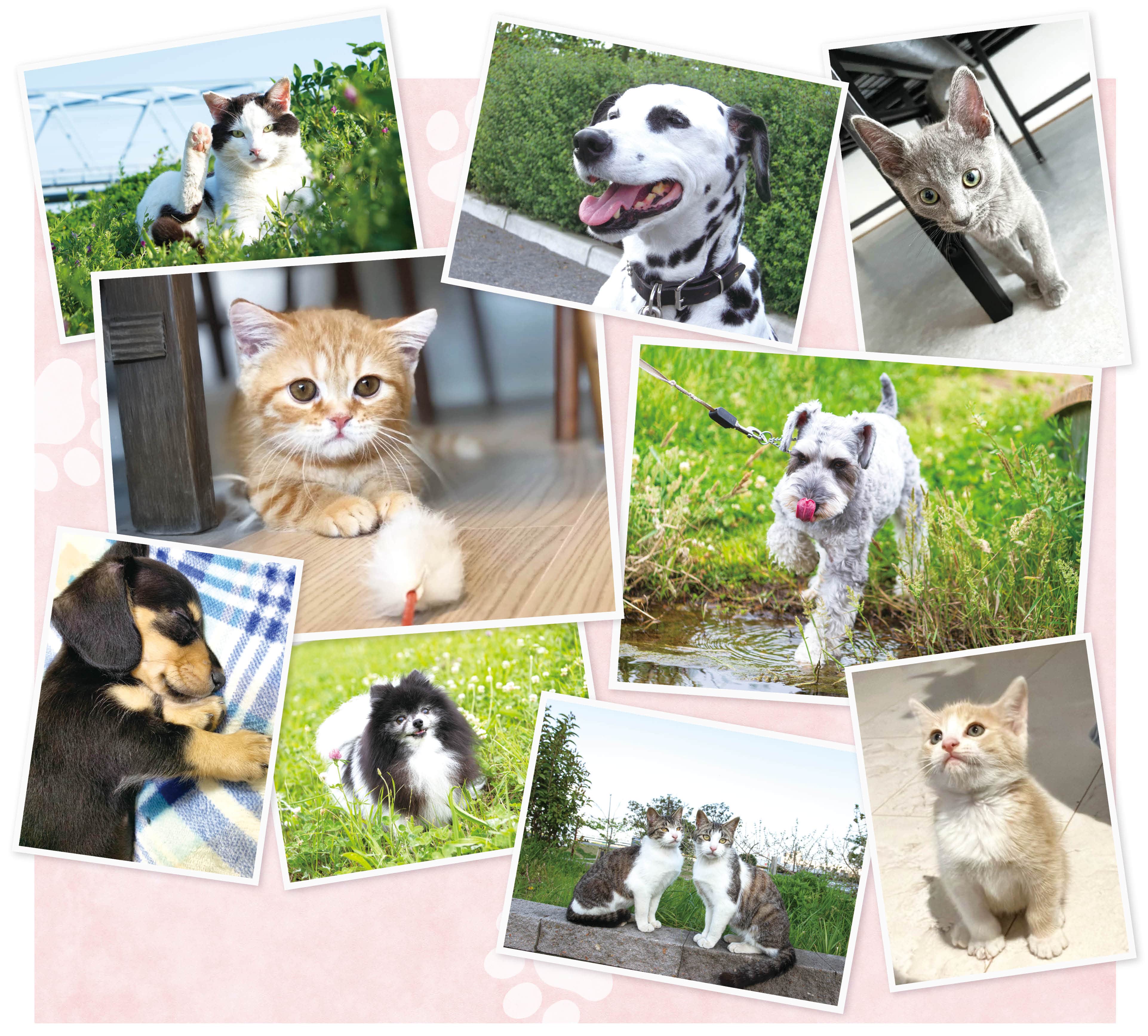 画像：笑顔のためにできること