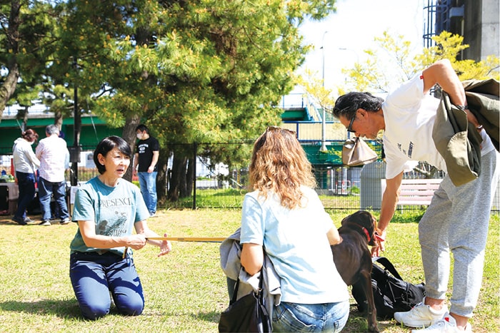 画像：犬を飼う時は、慎重に考えて