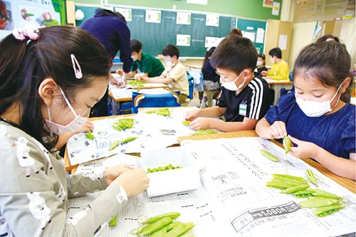 画像：栄養教諭、学校栄養職員による食育授業