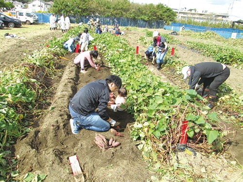 画像：栄養教諭、学校栄養職員による食育授業
