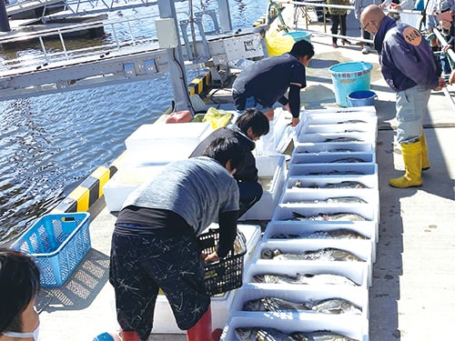 画像：【行ってみよう】市川産水産物の販売