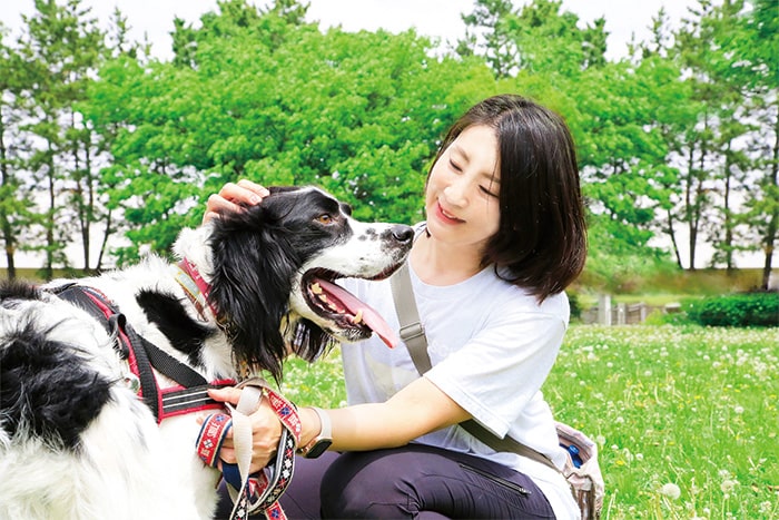 ぺットとの幸せな暮らしの画像