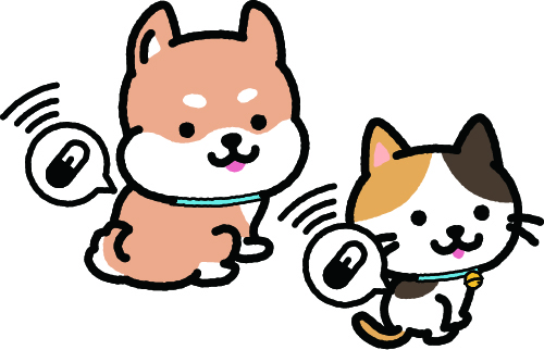 マイクロチップの装着・登録が義務付けられました