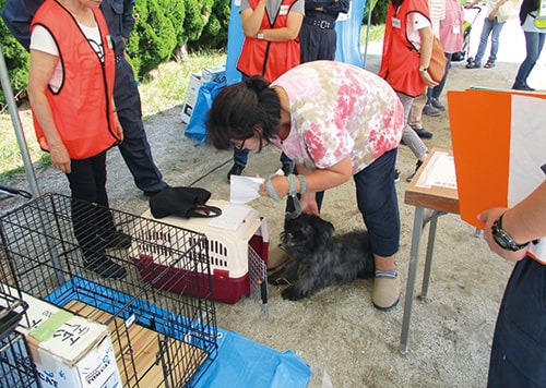 これまでのボランティア活動の画像