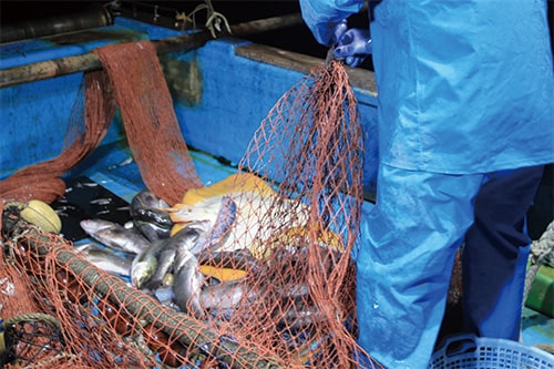 主菜で食べたい海産物の画像1