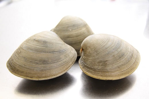 主菜で食べたい海産物の画像2