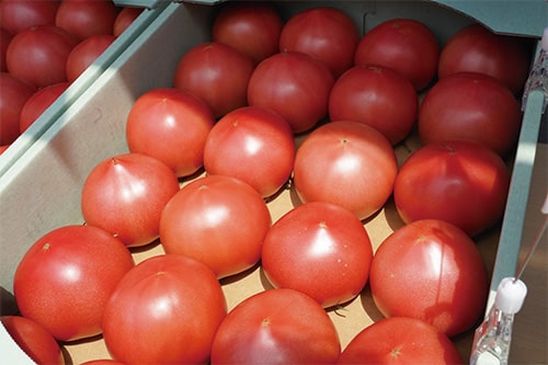 副菜で食べたい農作物の画像1