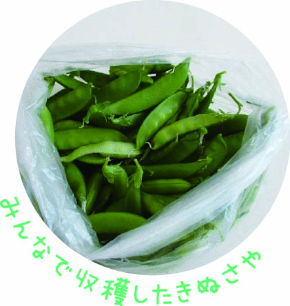 子どもの頃から食とつながりをの画像3