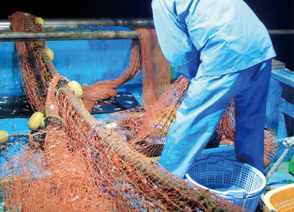 網を上げるの画像