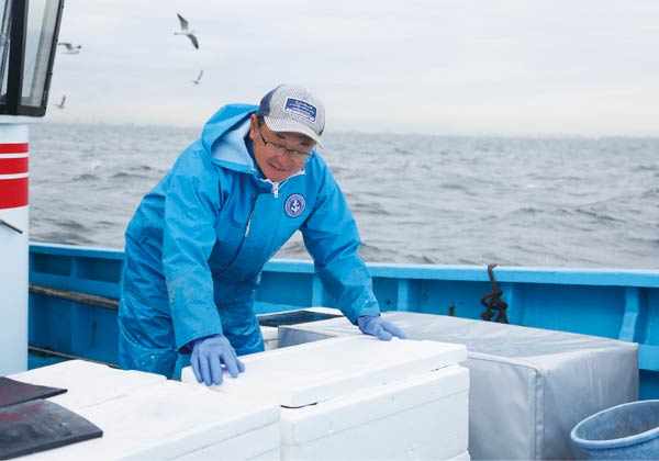 1日10回ほど漁を繰り返すの画像