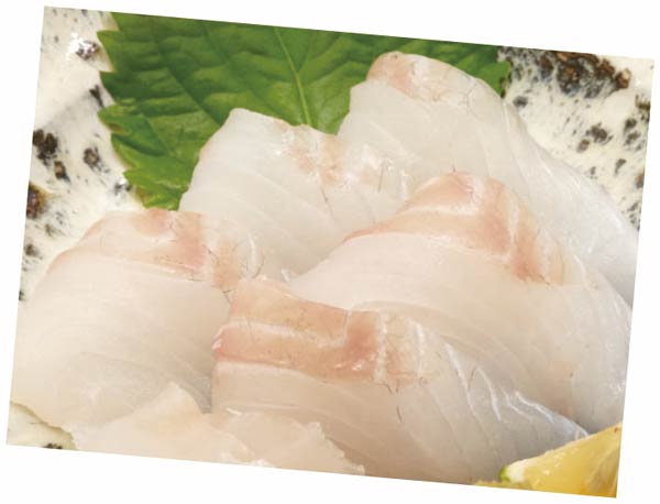 漁師の及川さんおすすめスズキの食べ方【刺し身】の画像