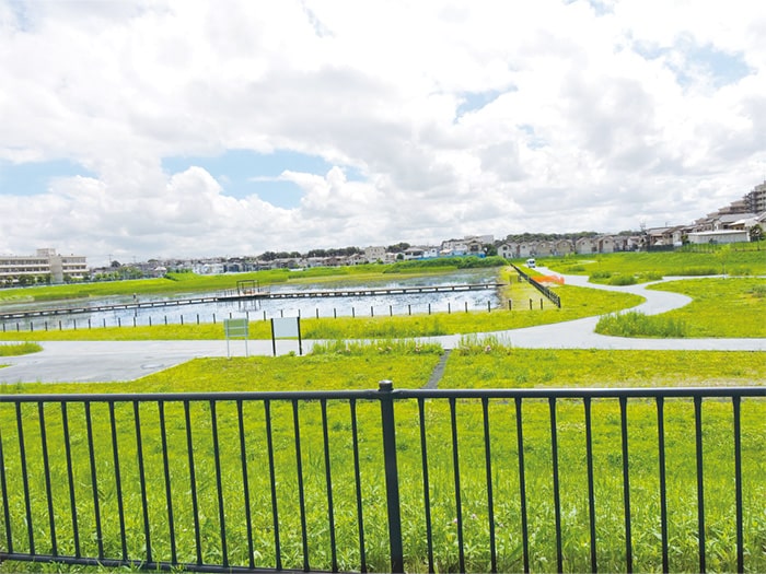 画像：自然共生サイト 国分川調節池緑地