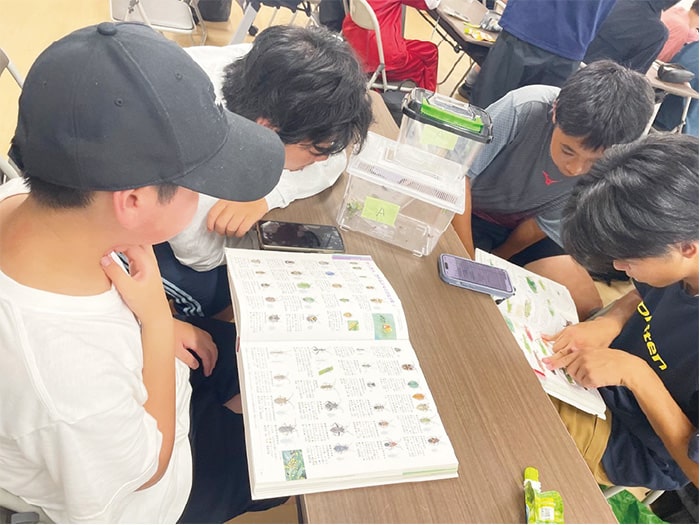 画像：勉強するこどもたち