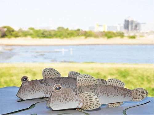 画像：トビハゼのクラフト