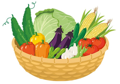 画像：これから旬を迎える夏野菜