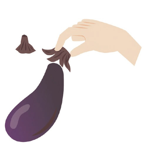 イラスト：ナス