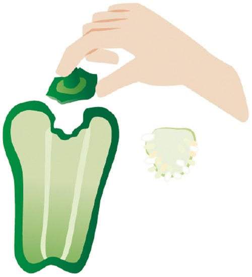 イラスト：ピーマン