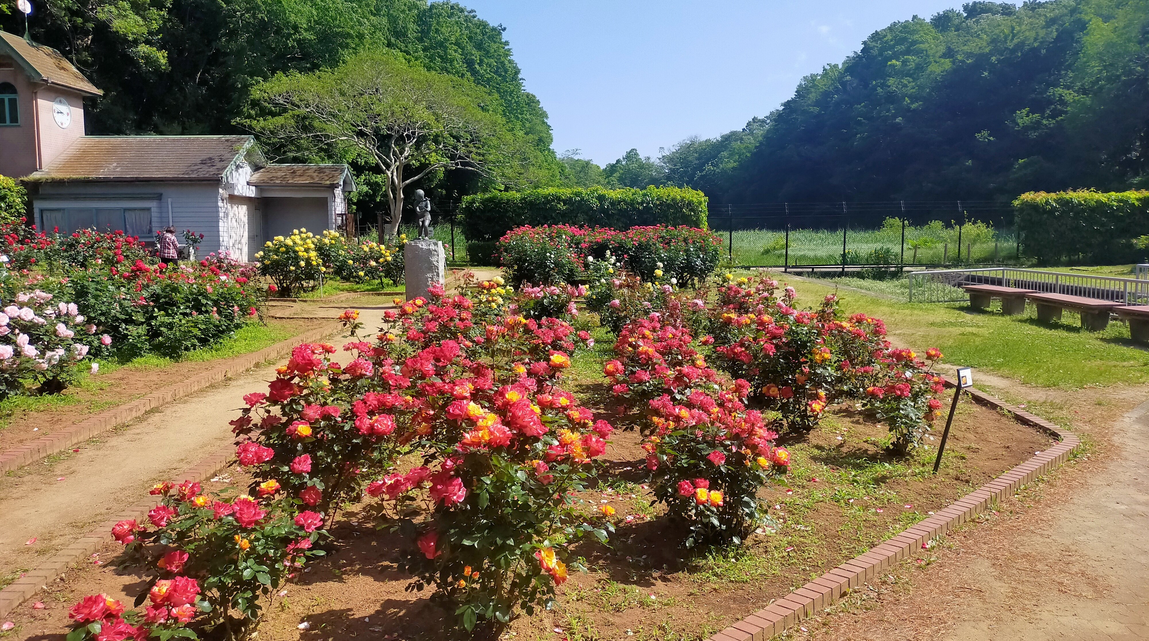 中央花壇の写真