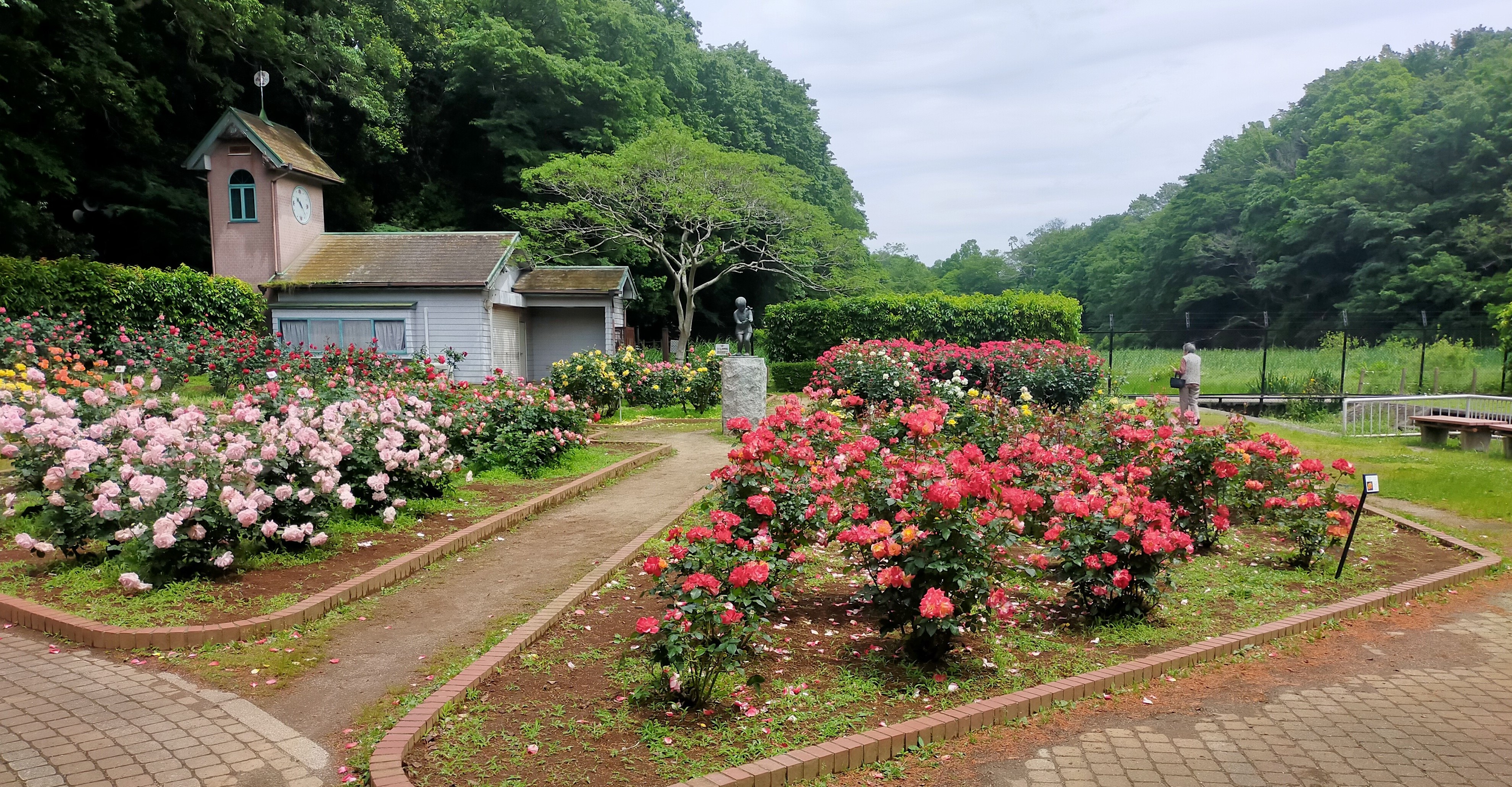 中央花壇の写真