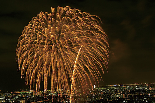 画像：冠柳（かむろ）