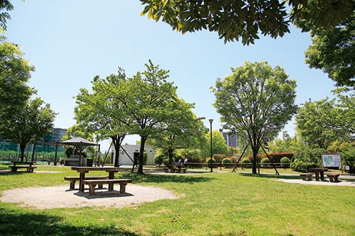 画像：▲デイキャンプ広場