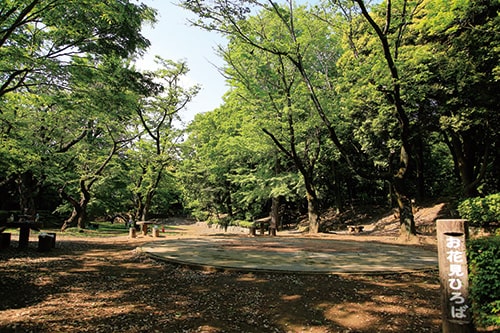 画像：お花見広場