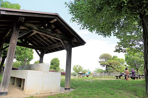 大洲防災公園 ピクニック広場の画像