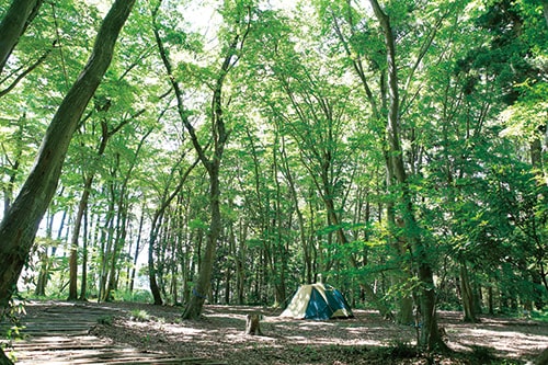 ▲テントサイト