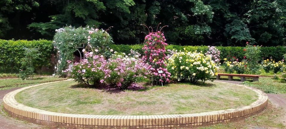 写真：中央円形花壇の写真