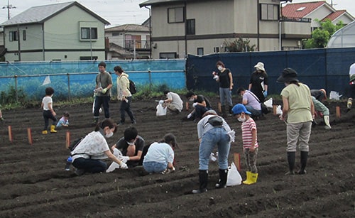 画像：「だいこん・じゃがいも」栽培体験にチャレンジ