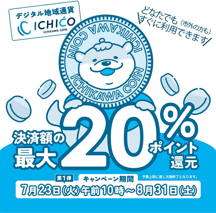 画像：決済額の最大20パーセントポイント還元のポスター