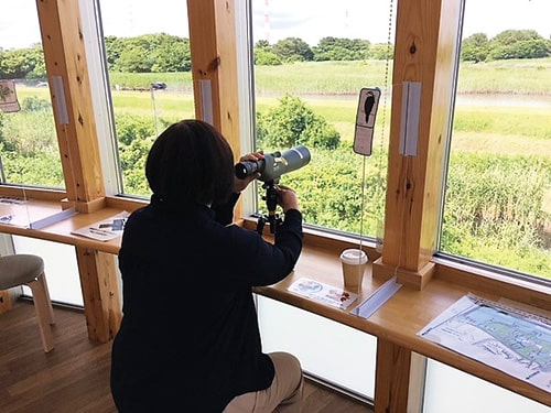 （行徳野鳥観察者）の画像1