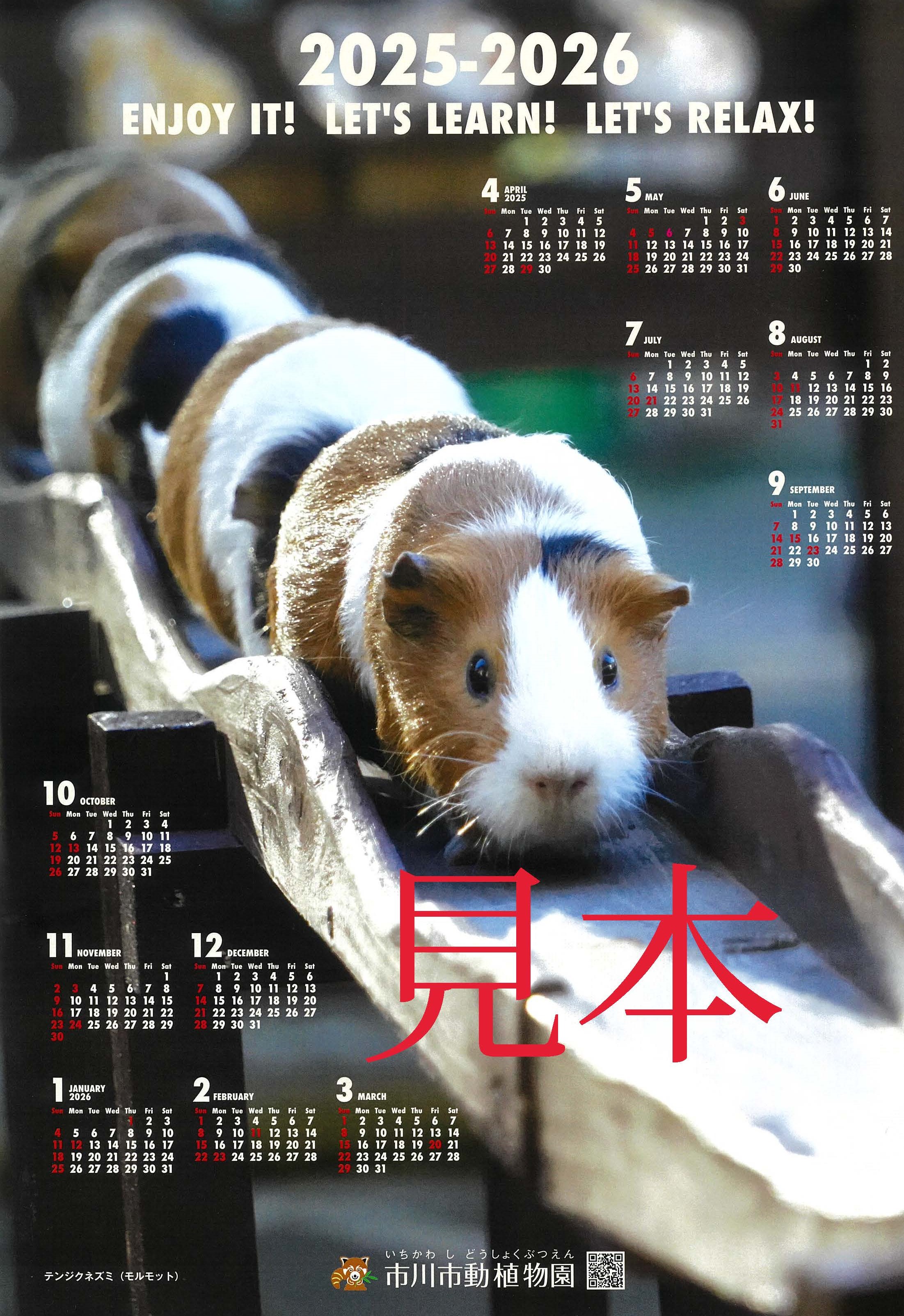 写真：ポスターカレンダー