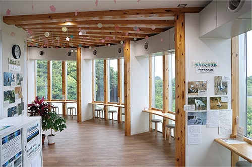 画像：あいねすと