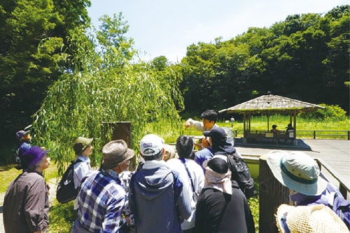 画像：長田谷津