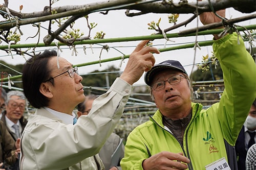 中国からの花粉の輸入が止まってピンチの画像