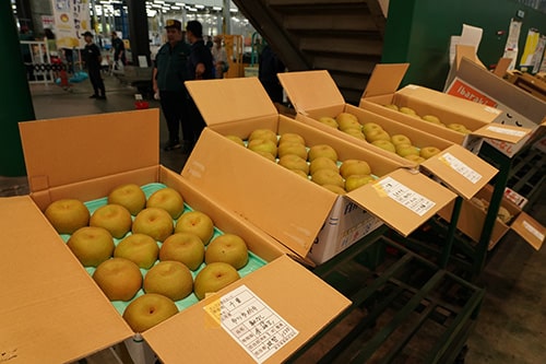 農家自慢の梨が競りにかけられます