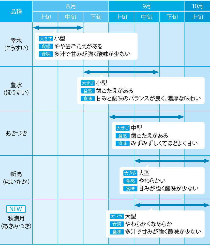梨カレンダーの画像