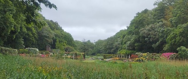 写真:大池から見たバラ園