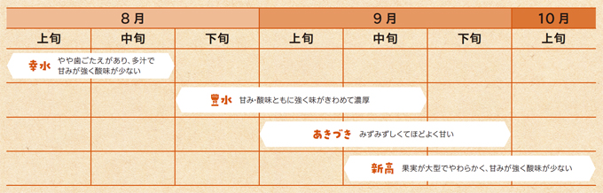 べごろを確認しよう 梨カレンダー