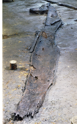 日本最古の丸木舟の画像2