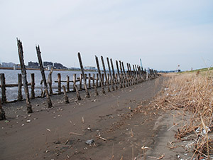砂が多い岸辺の景観写真　
