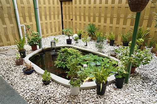 画像：恵比寿湯