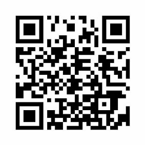 いちかわスポーツフェスタ開催の画像