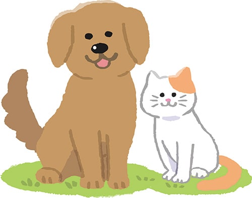 イラスト：いぬとねこ