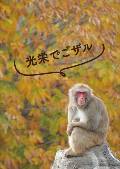 画像：ニホンザルのアトマル