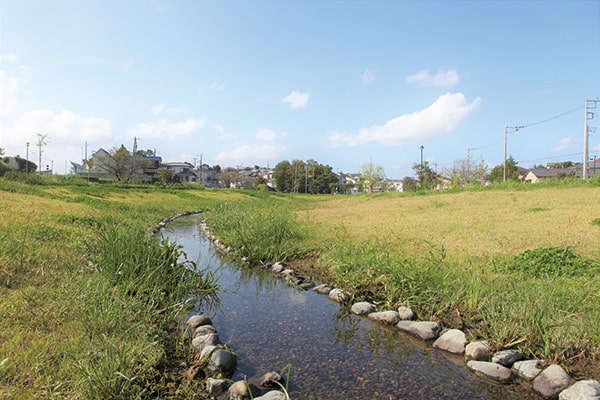 どうめき谷津エリアはアップダウンの少ないフラットな造りで見通しもよくウオーキングにぴったりの画像