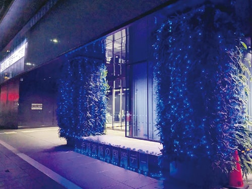 画像：[1]昨年のライトアップの様子